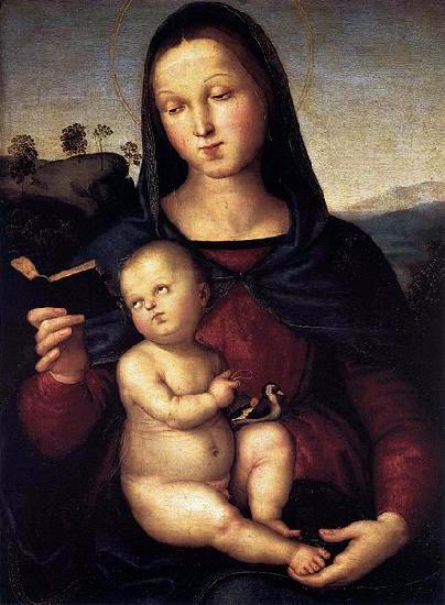 RAFFAELLO Sanzio Madonna Solly oil painting image